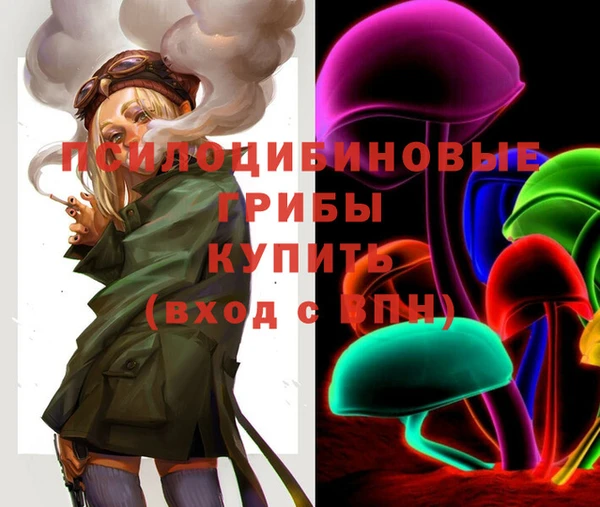 герыч Козельск
