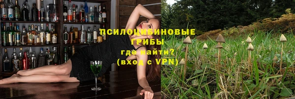 Альфа ПВП Козловка
